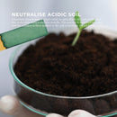 1.3Kg Organic Potassium Bicarbonate Powder Tub Food Grade FCC for Brewing Baking - NuSea