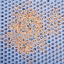 Waterproof Double Layer Cat Litter Mat Non-Slip Scratch Pad