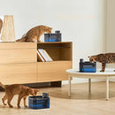 Wireless Automatic Water Fountain Pet Dispenser