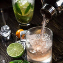 5 Pcs Stainless Steel Cocktail Maker Set Premium Bartending Tool Kit - NuSea