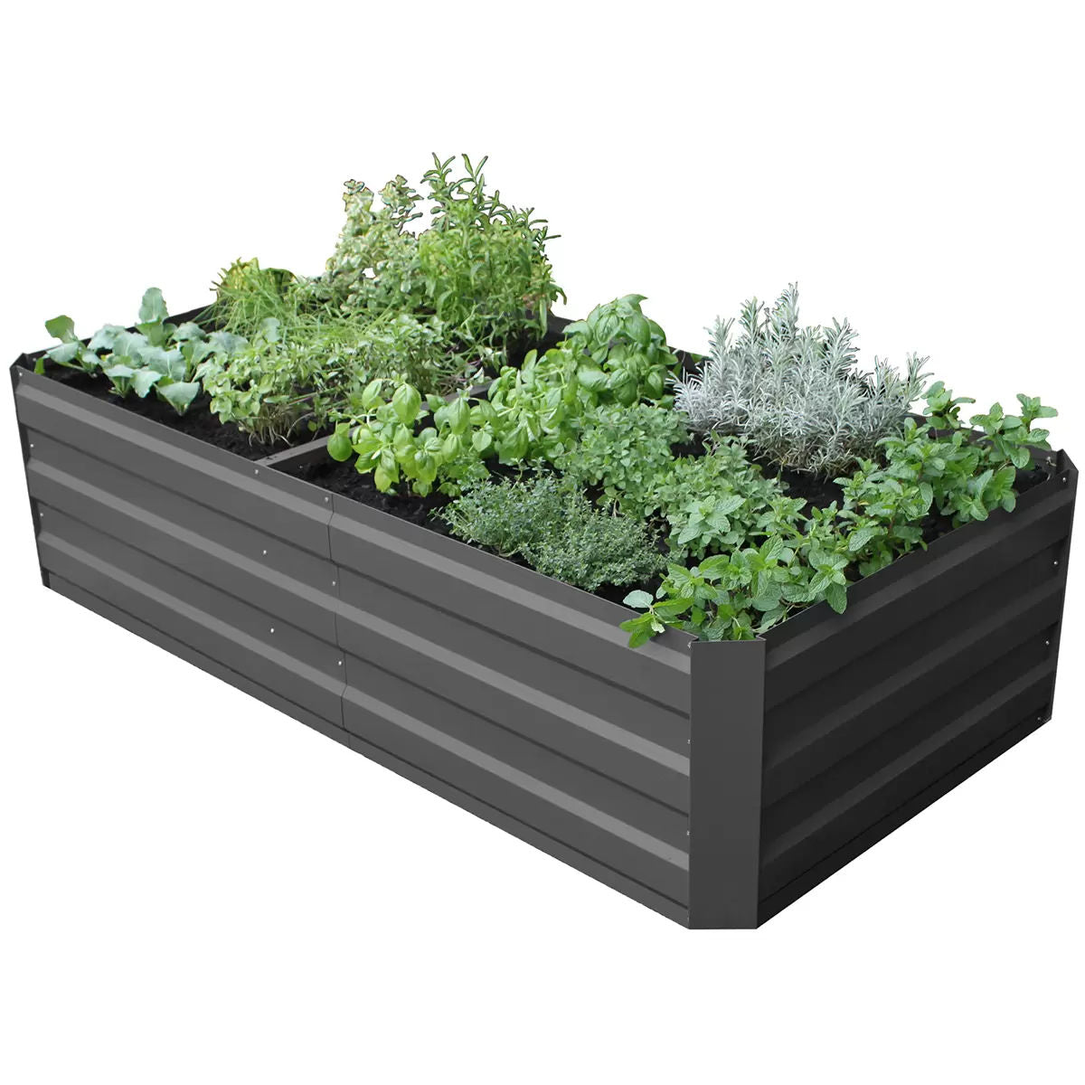 Large Garden Bed 180 x 90 x 45cm