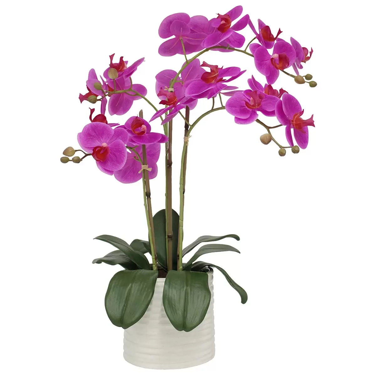 Artificial Orchid With Ribbed Pot 67cm Pink
