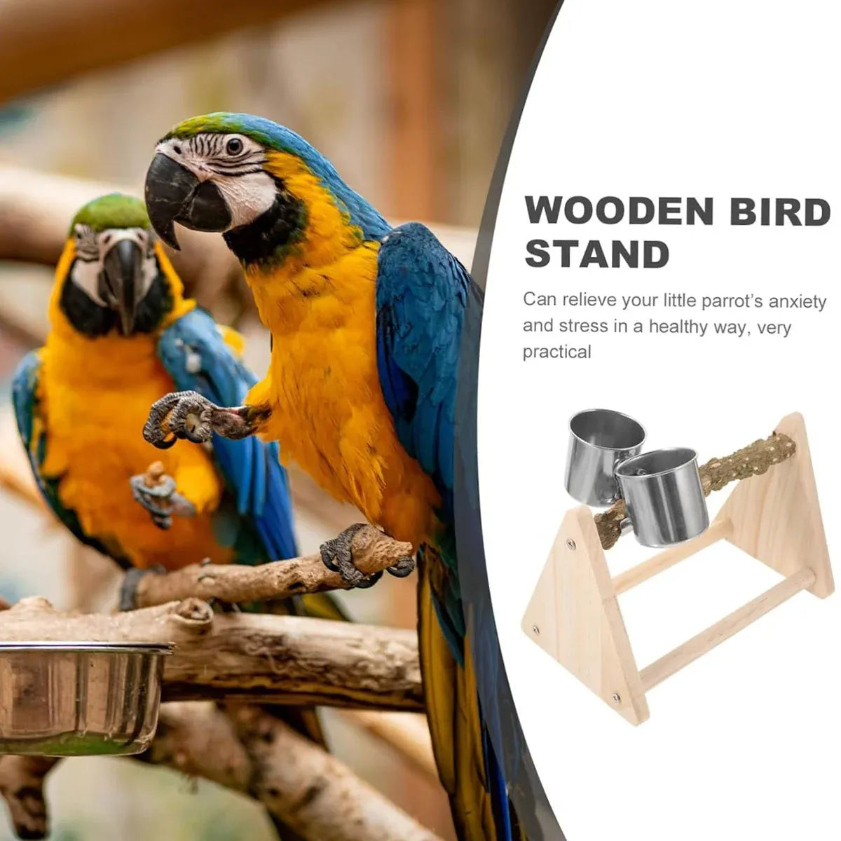 Solid Wood Parrot Desktop Training Rack Station with Food Basin Durable