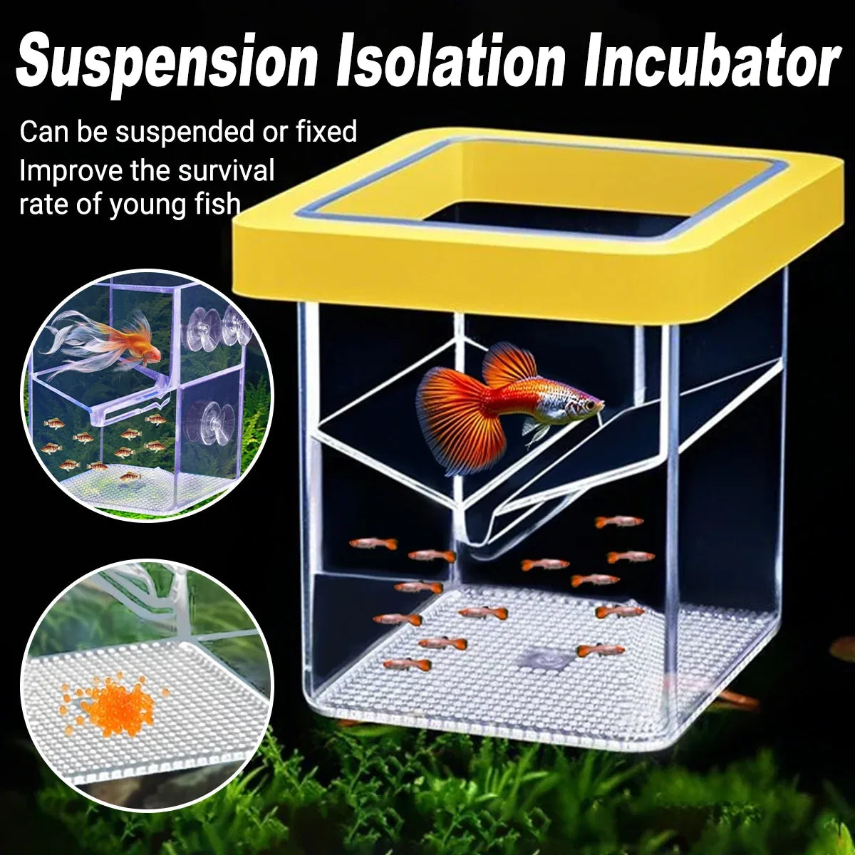 Fish Tank Breeding Box Floating Isolation Incubator Hatching Box for Aquarium