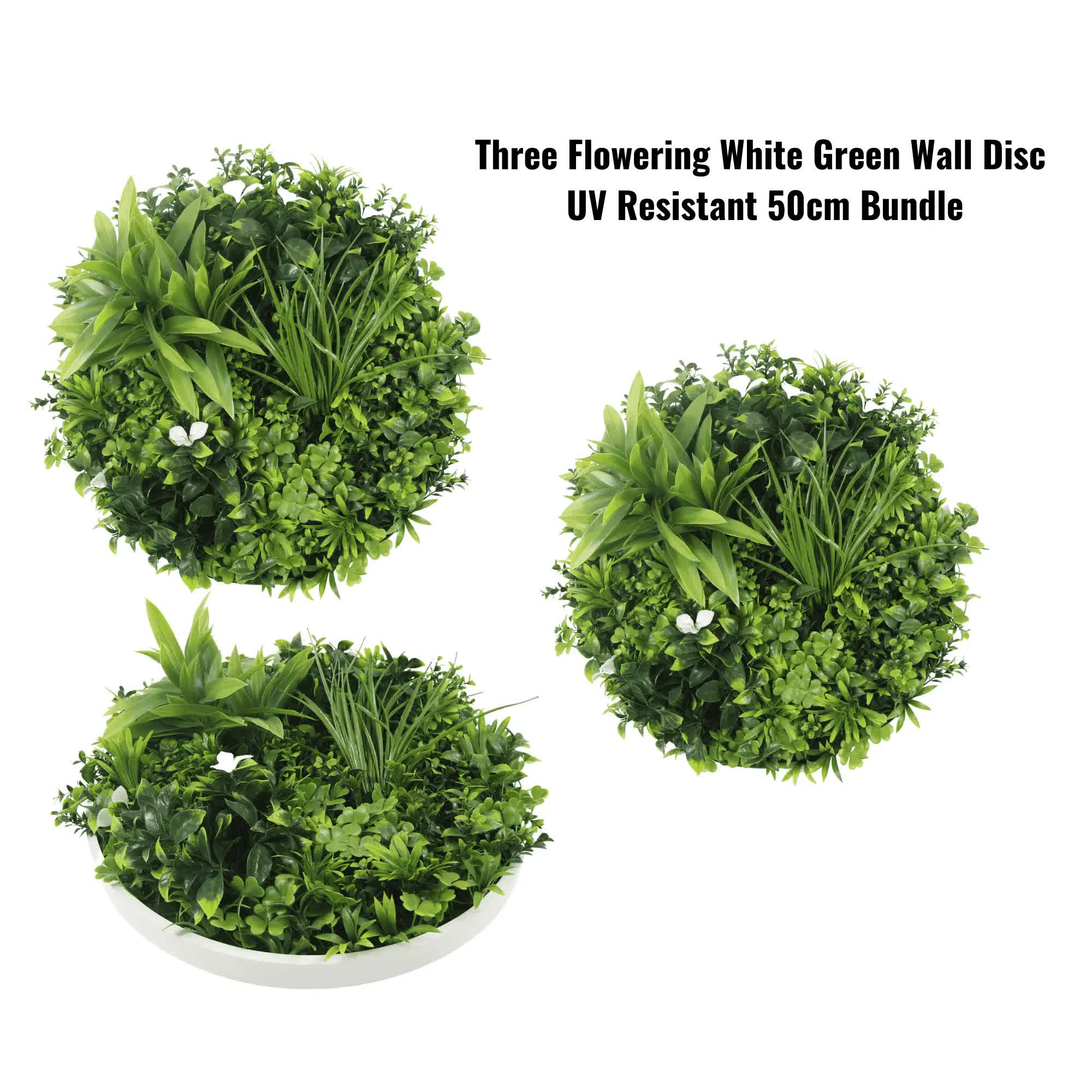 Two 50cm and One 75cm Flowering White Disc Bundle