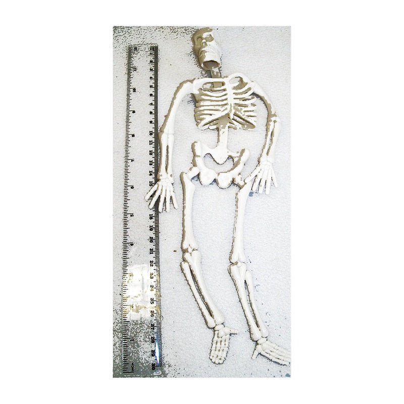 30cm white hanging skeleton size reference