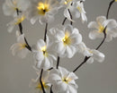 1 Set of 50cm H 20 LED White Frangipani Tree Branch Stem Fairy Light Wedding Event Party Function Table Vase Centrepiece Decoration - NuSea