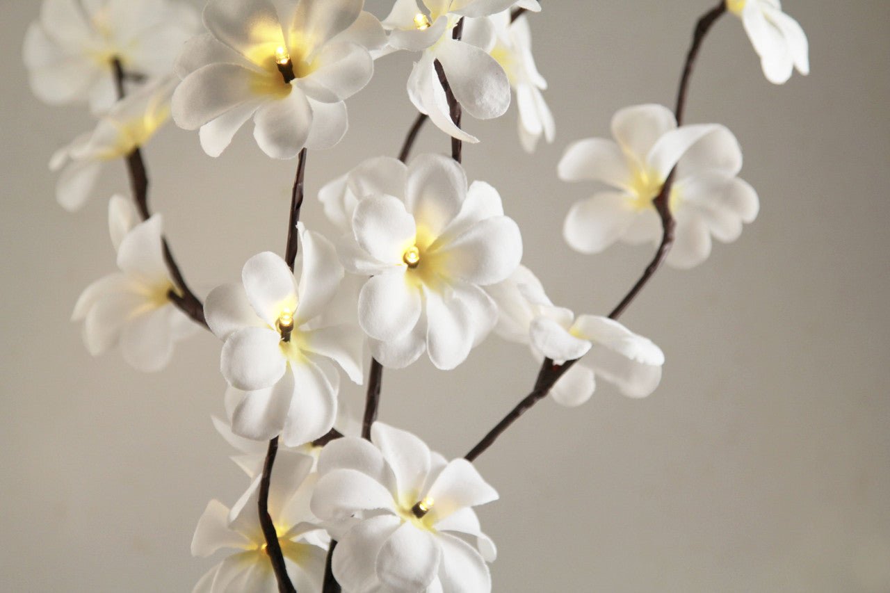 1 Set of 50cm H 20 LED White Frangipani Tree Branch Stem Fairy Light Wedding Event Party Function Table Vase Centrepiece Decoration - NuSea