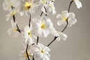 1 Set of 50cm H 20 LED White Frangipani Tree Branch Stem Fairy Light Wedding Event Party Function Table Vase Centrepiece Decoration - NuSea