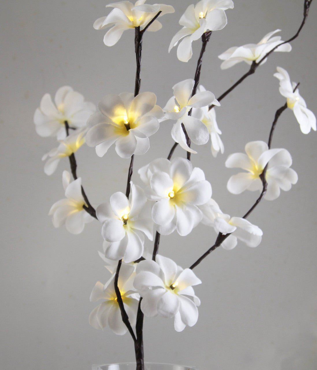 1 Set of 50cm H 20 LED White Frangipani Tree Branch Stem Fairy Light Wedding Event Party Function Table Vase Centrepiece Decoration - NuSea