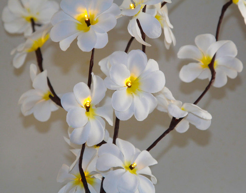1 Set of 50cm H 20 LED White Frangipani Tree Branch Stem Fairy Light Wedding Event Party Function Table Vase Centrepiece Decoration - NuSea