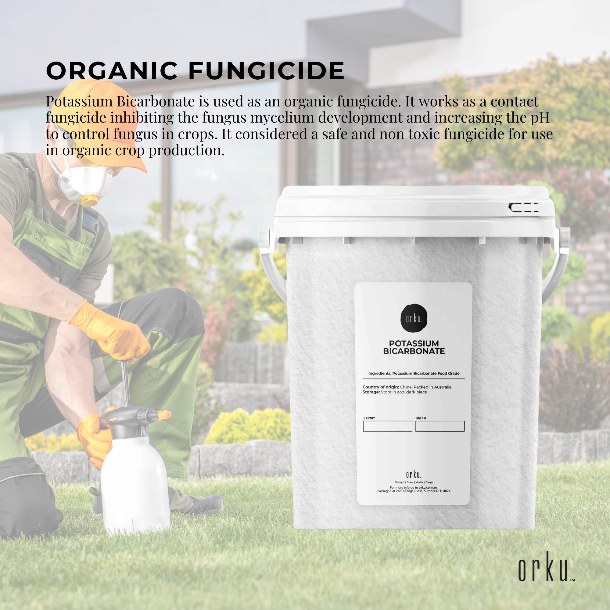 1.3Kg Organic Potassium Bicarbonate Powder Tub Food Grade FCC for Brewing Baking - NuSea