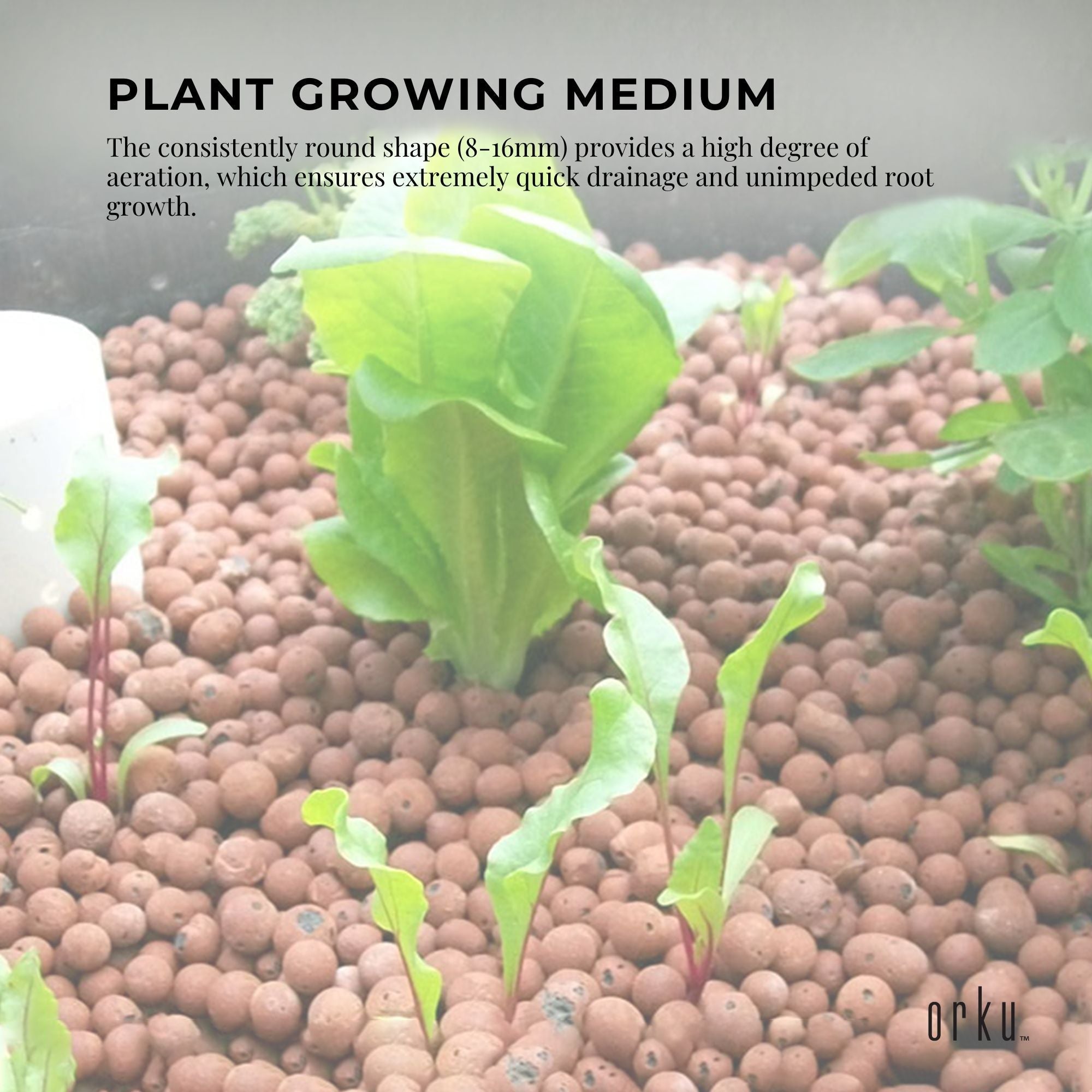1L Hydro Clay Balls - Organic Premium Hydroponic Expanded Plant Growing Medium - NuSea