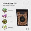 1L Hydro Clay Balls - Organic Premium Hydroponic Expanded Plant Growing Medium - NuSea