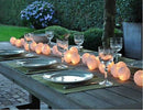 20 White 5cm Ball battery string LED - wedding party home event decoration - NuSea