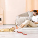 Smart Sensing Cat Toys Interactive Automatic Electronic Snake