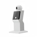 Random Moving Interactive Laser Cat Toy for Indoor