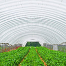 Greenhouse Film Cover Greenhouse Film UV Resistant Polyethylene Covering Garden Plants Flowers Agriculture_0