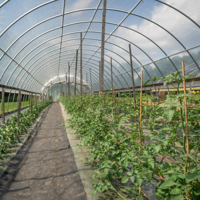 Greenhouse Film Cover Greenhouse Film UV Resistant Polyethylene Covering Garden Plants Flowers Agriculture_2