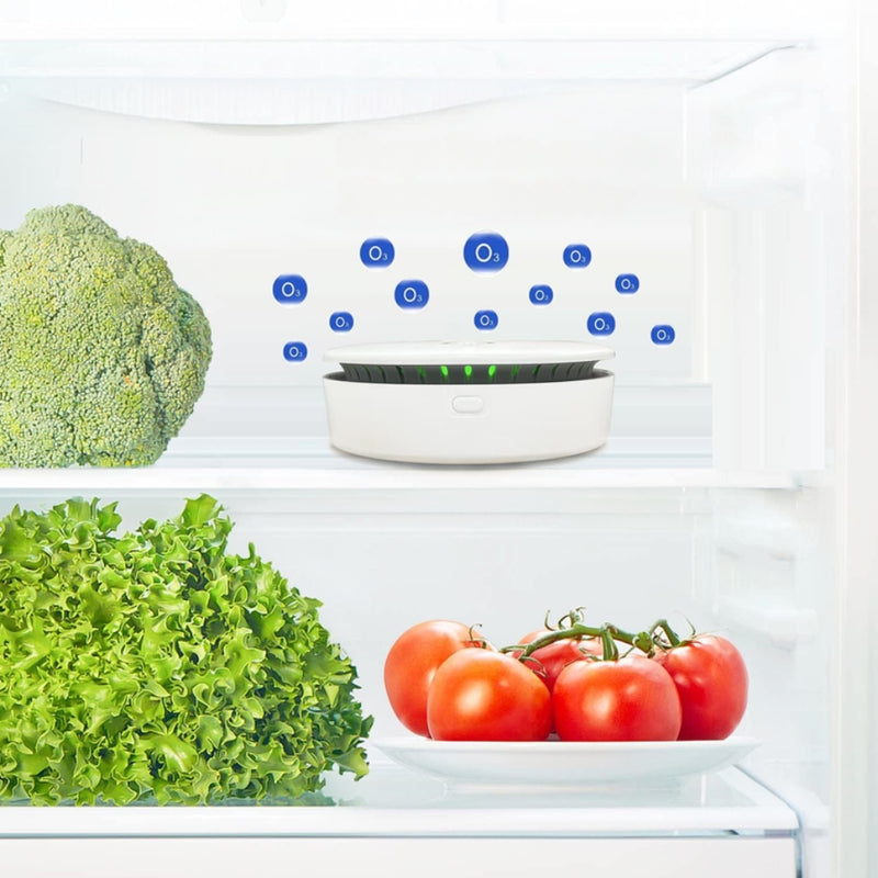 Portable Ozone Ionic Air Purifier 2 in 1 Eliminate Odor for Home Car Refrigerator Shoe Cabinet