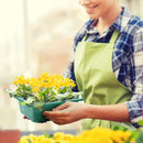 Plant Seed Grow Box Propagation Nursery Seedling Starter Tray