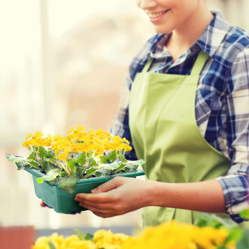 Plant Seed Grow Box Propagation Nursery Seedling Starter Tray