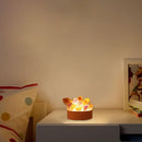 Natural Crystal  Lamp Home Decoration Mineral Specimen Collection