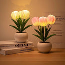 Tulip Table Lamp LED Bedside Lamp