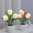 Tulip Table Lamp LED Bedside Lamp