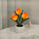 Tulip Table Lamp LED Bedside Lamp