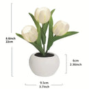 Tulip Table Lamp LED Bedside Lamp