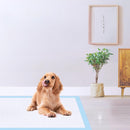 Super Absorbent Pet Training Pads Puppy Toilet for Indoor