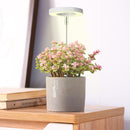 LED Plant Growth Light USB Timer Adjustable Height