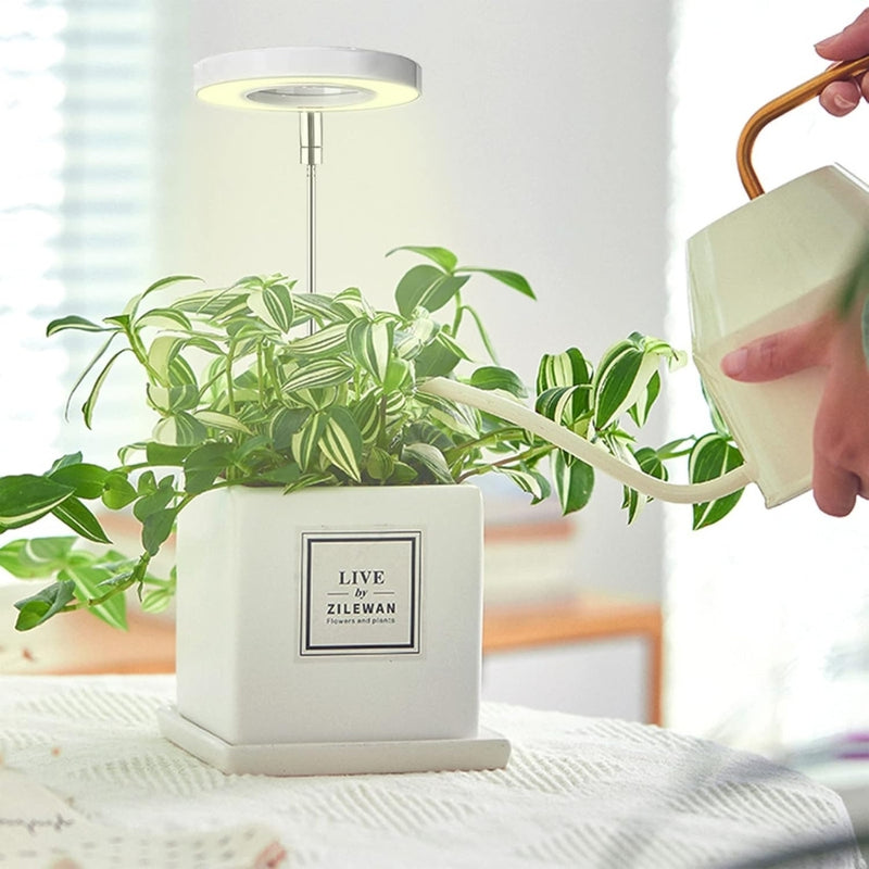 LED Plant Growth Light USB Timer Adjustable Height