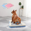 Portable Dog Training Toilet Indoor Potty for Small Dogs and Cats