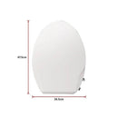 Non Electric Bidet Toilet Seat with Cover