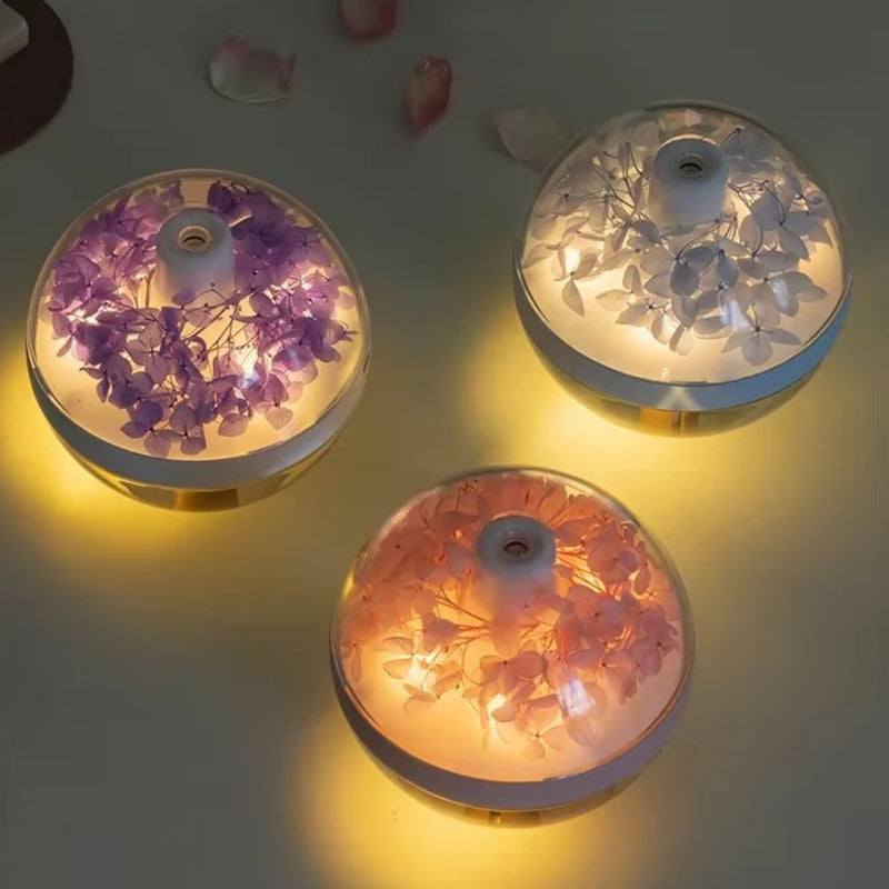 270ml USB Rechargeable Air Humidifier with LED Light and Mist Function