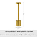 Rechargeable Sensor LED Table Lamp 3 Colors Adjustable Bedside Creative Ambient Light