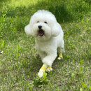 28pc X Dog Shoes Waterproof Disposable Boots Anti - Slip Pet Socks L YELLOW - NuSea
