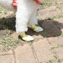 28pc X Dog Shoes Waterproof Disposable Boots Anti - Slip Pet Socks M YELLOW - NuSea