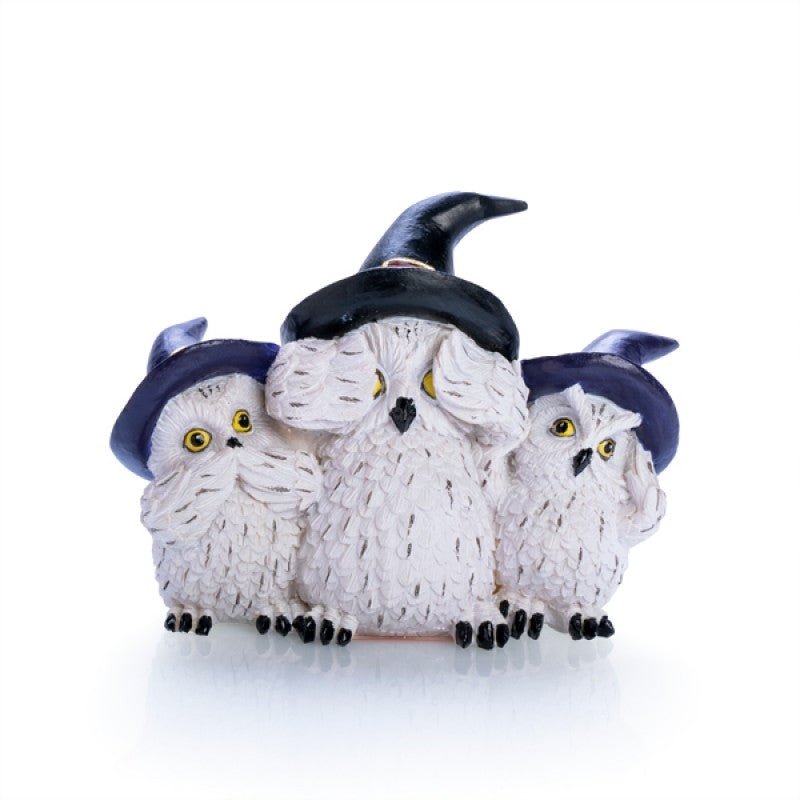 3 Wise Snowy Owls - NuSea