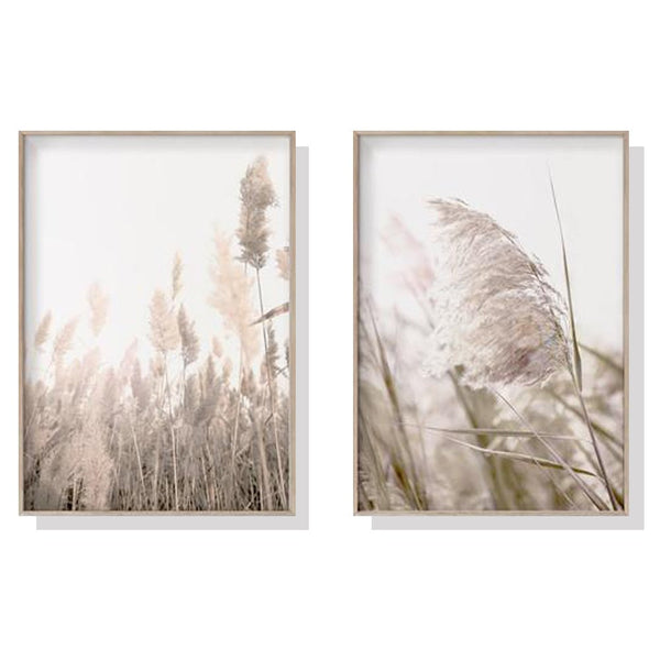 40cmx60cm Pampas Grass 2 Sets Wood Frame Canvas Wall Art - NuSea