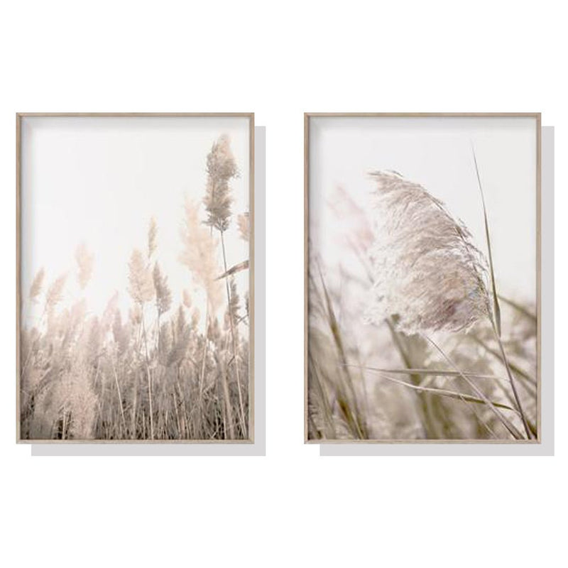 40cmx60cm Pampas Grass 2 Sets Wood Frame Canvas Wall Art - NuSea