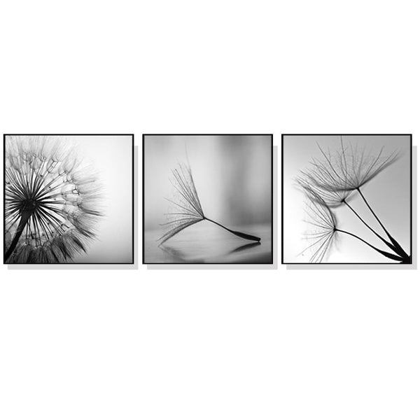 50cmx50cm Botanical dandelions 3 Sets Black Frame Canvas Wall Art - NuSea