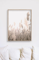 50cmx70cm Pampas Grass 2 Sets Wood Frame Canvas Wall Art - NuSea