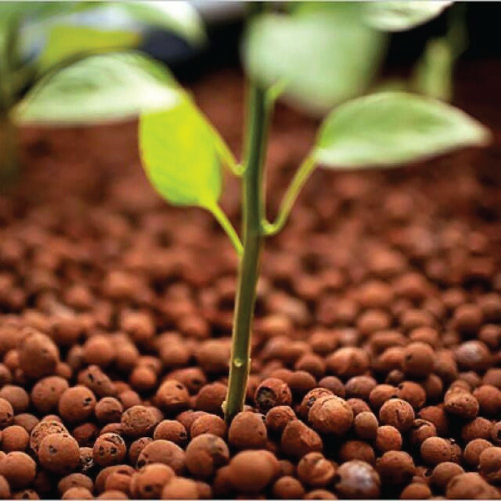 50L Hydro Clay Balls - Organic Premium Hydroponic Expanded Plant Growing Medium - NuSea
