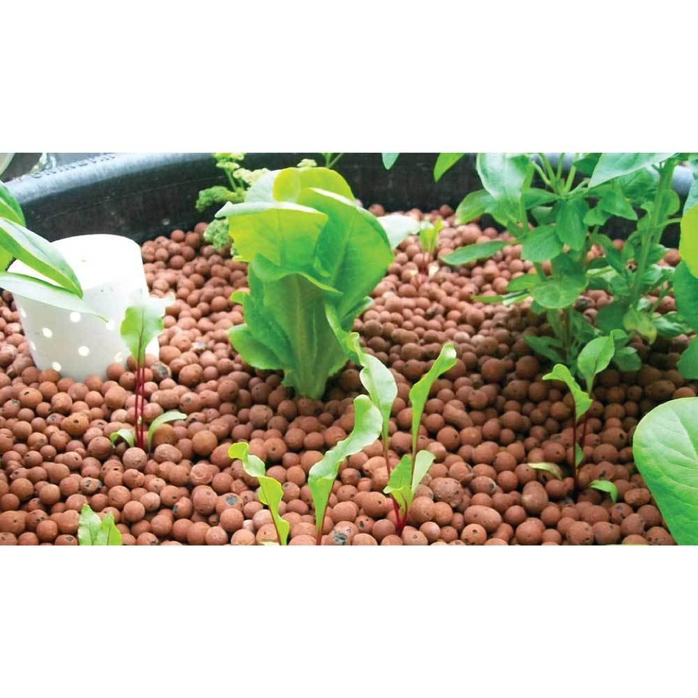 50L Hydro Clay Balls - Organic Premium Hydroponic Expanded Plant Growing Medium - NuSea