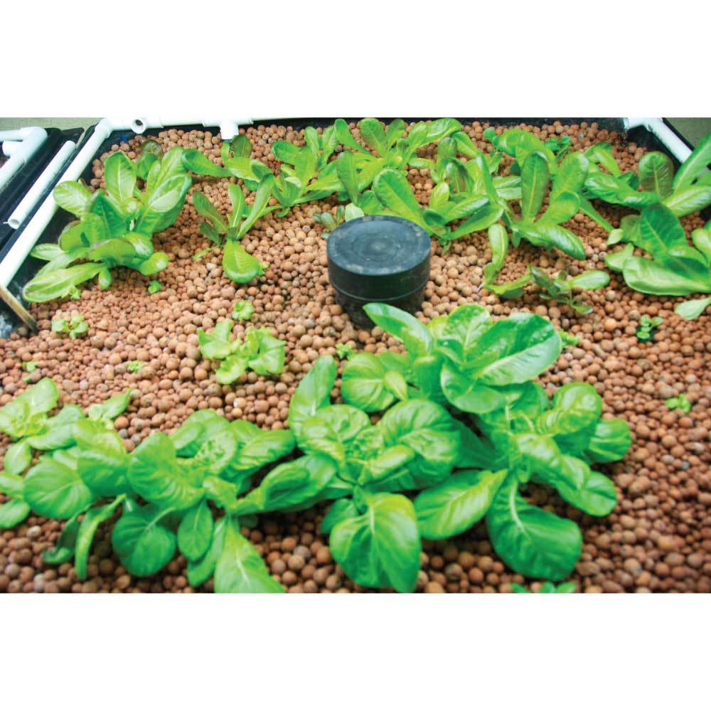 50L Hydro Clay Balls - Organic Premium Hydroponic Expanded Plant Growing Medium - NuSea