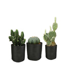 6 Pck 1 Gallon Fabric Flower Pots 3.8L Garden Planter Bags Black Felt Root Pouch - NuSea