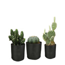 6 Pck 1 Gallon Fabric Flower Pots 3.8L Garden Planter Bags Black Felt Root Pouch - NuSea